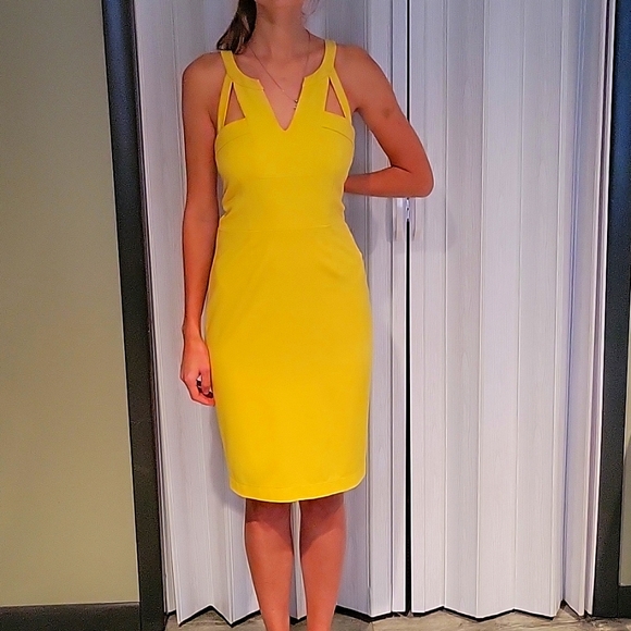BCBGMaxAzria Dresses & Skirts - BCBG Beatiful vintage dress
